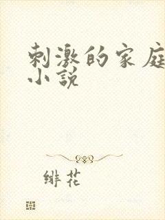 刺激的家庭乱仑小说