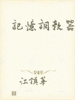 记忆调教器封面