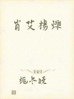 肖艾杨烁封面