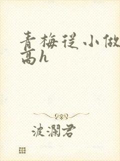 青梅从小做到大高h