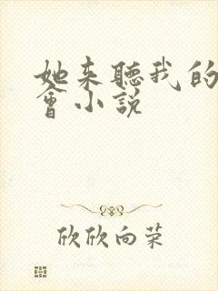 她来听我的演唱会小说