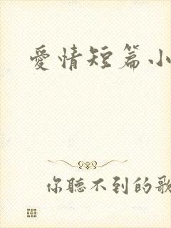 爱情短篇小说封面