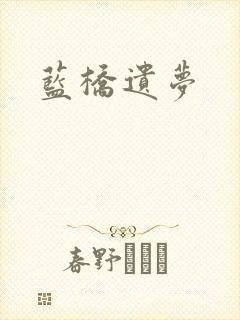 蓝桥遗梦封面