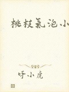 桃枝气泡小说