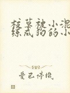 校草被小混混训练成狗的小说