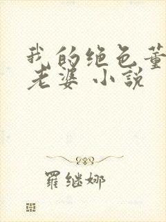 我的绝色董事长老婆 小说
