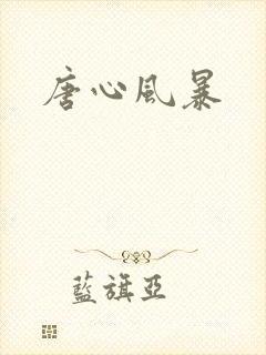 唐心风暴封面