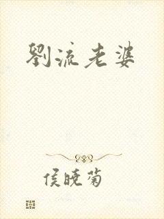刘流老婆