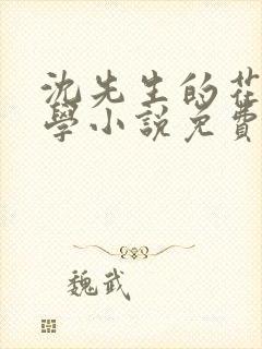沈先生的花式教学小说免费封面