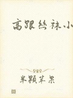 高跟丝袜小说