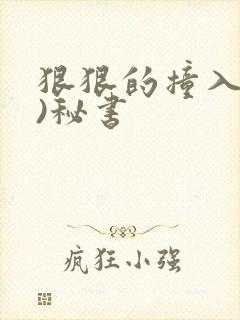 狠狠的撞入(h)秘书