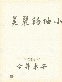 美丽的他小说