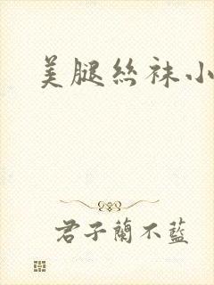 美腿丝袜小说封面