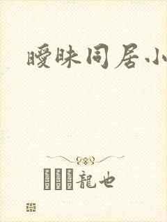暧昧同居小说