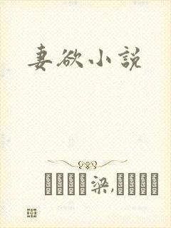 妻欲小说
