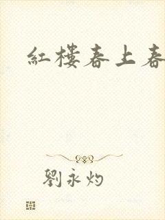 红楼春上春封面