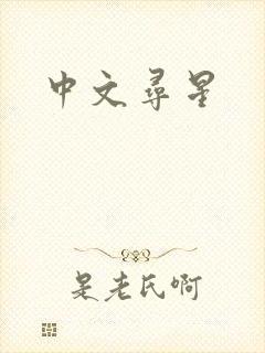 中文寻星