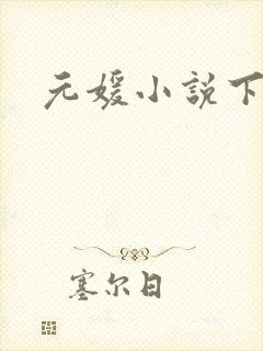 元媛小说下载