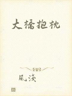 大桥抱枕