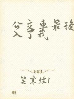 公交车最后一排入了我