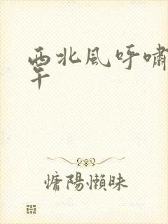 西北风呼啸的中午封面