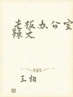 老板办公室系列辣文