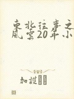 东北往事之黑道风云20年小说