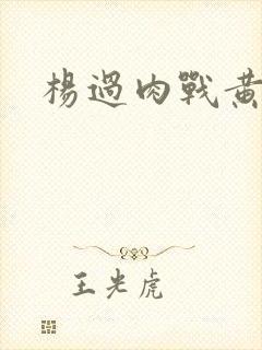 杨过肉战黄蓉