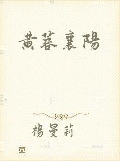黄蓉襄阳封面