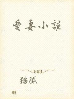 爱妻小说