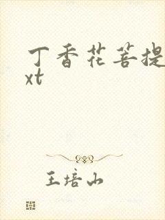 丁香花菩提树txt