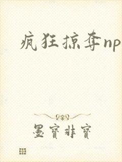 疯狂掠夺npc