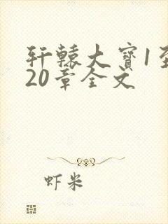 轩辕大宝1至720章全文