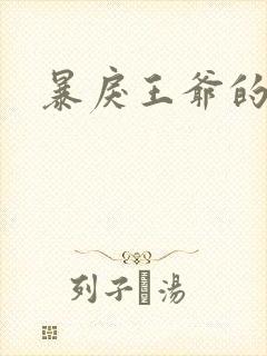 暴戾王爷的贱妾封面