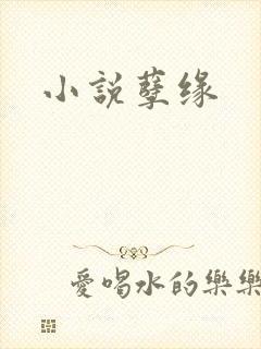 小说孽缘