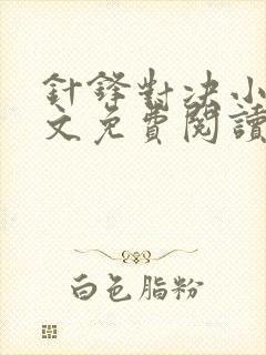 针锋对决小说全文免费阅读完整版封面