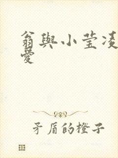 翁与小莹凌晨欢爱
