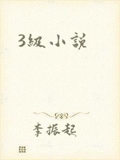 3级小说