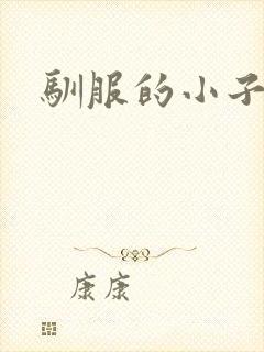 驯服的小子4封面