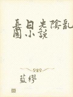 长日光阴乱作一团小说封面