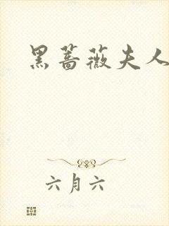 黑蔷薇夫人封面
