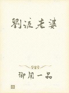 刘流老婆