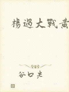杨过大战黄蓉封面