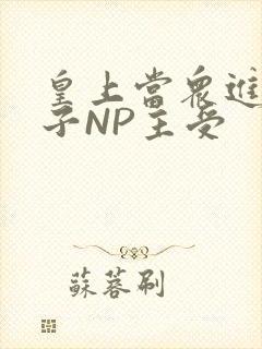 皇上当众进入太子NP主受封面