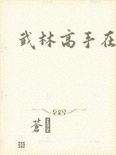 武林高手在异界