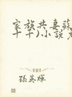 家族共妻苏苏(十千)小说免费
