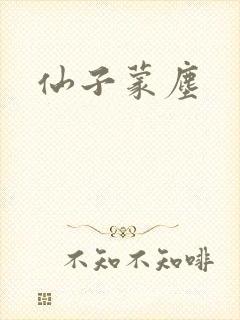 仙子蒙尘封面