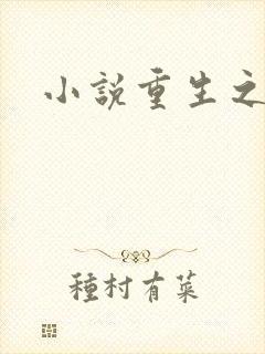 小说重生之官道封面