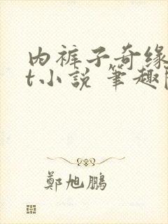 内裤子奇缘txt小说 笔趣阁