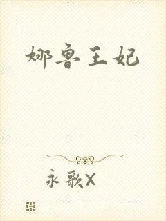 娜鲁王妃封面